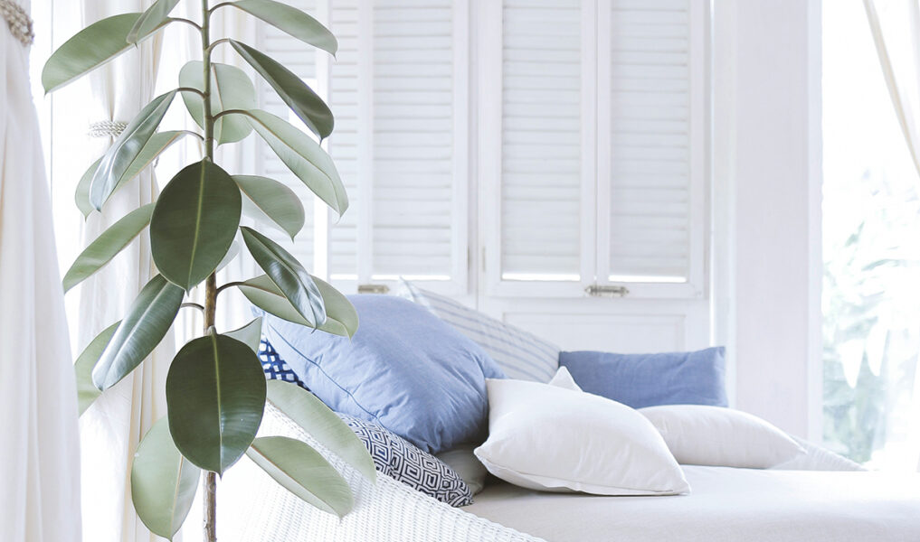 счастье в тюмени2