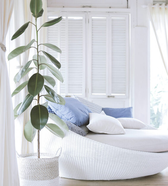 счастье в тюмени2